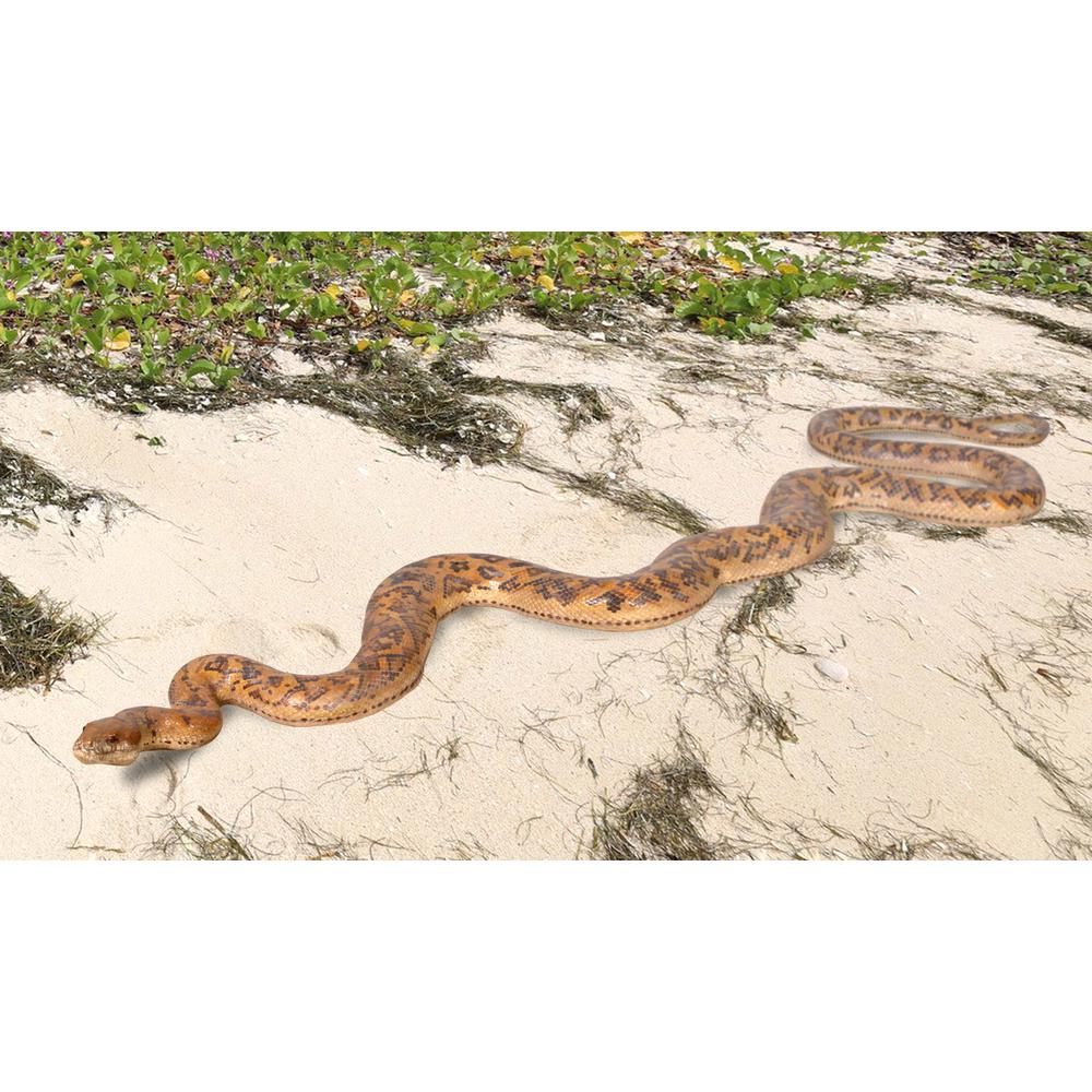 Python Snake 99.5" Long