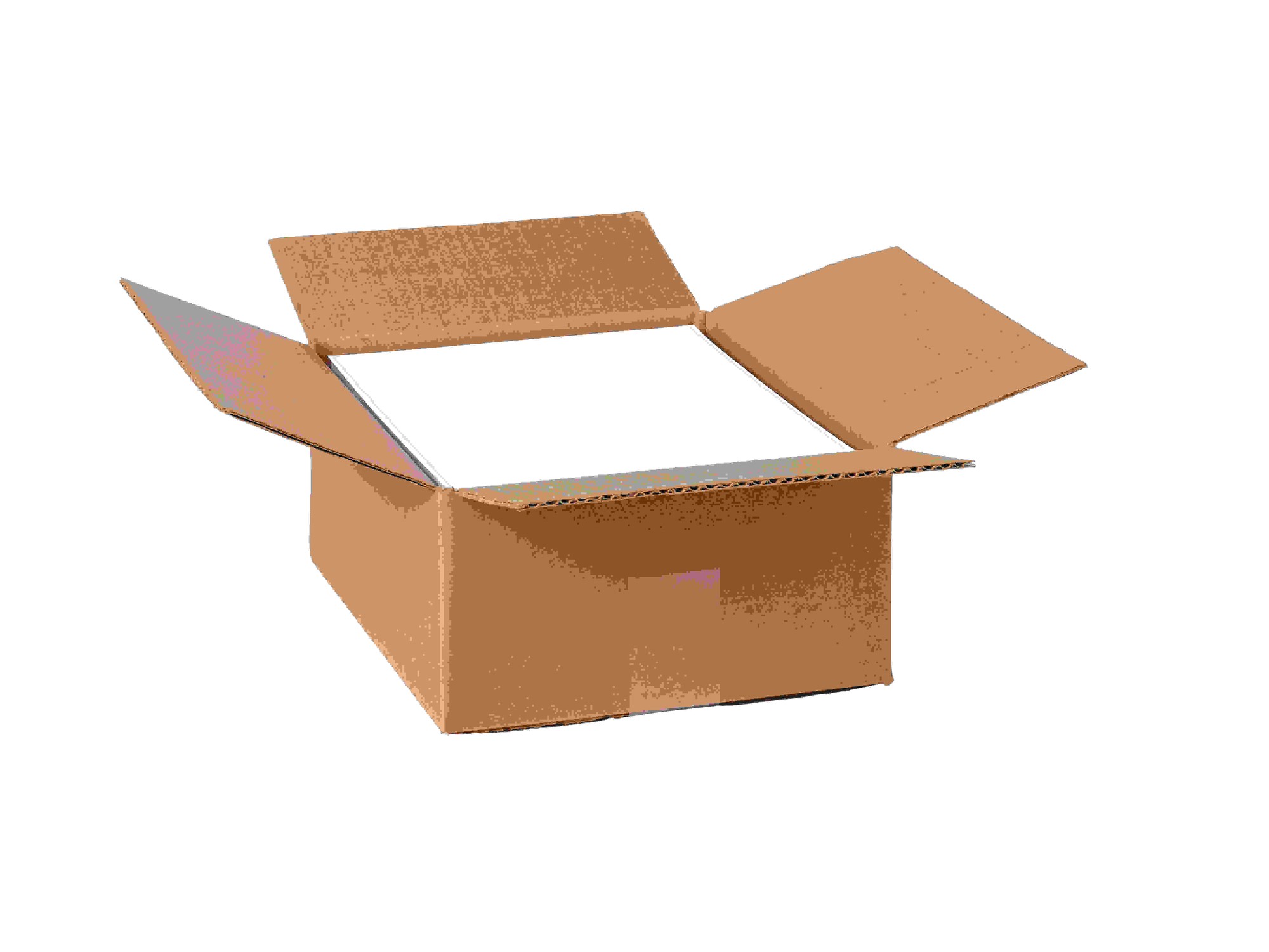 Avery Shipping Labels - TrueBlock Technology - 5 1/2" Width x 8 1/2" Length - Permanent Adhesive - Rectangle - Laser - Whit