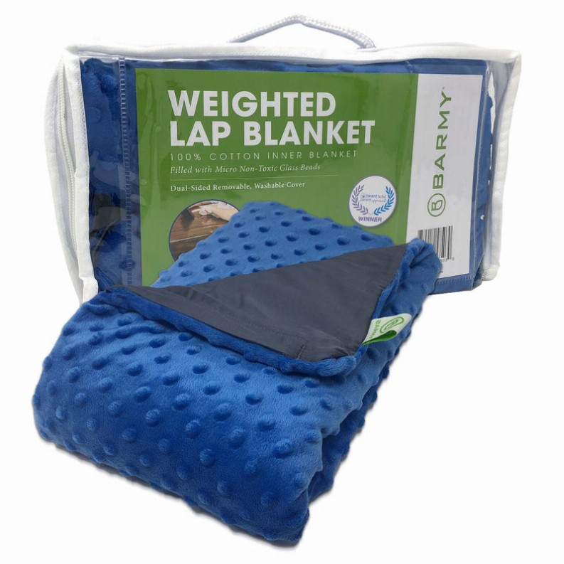 Weighted Lap Blanket for Kids - 24 x 24 Blue