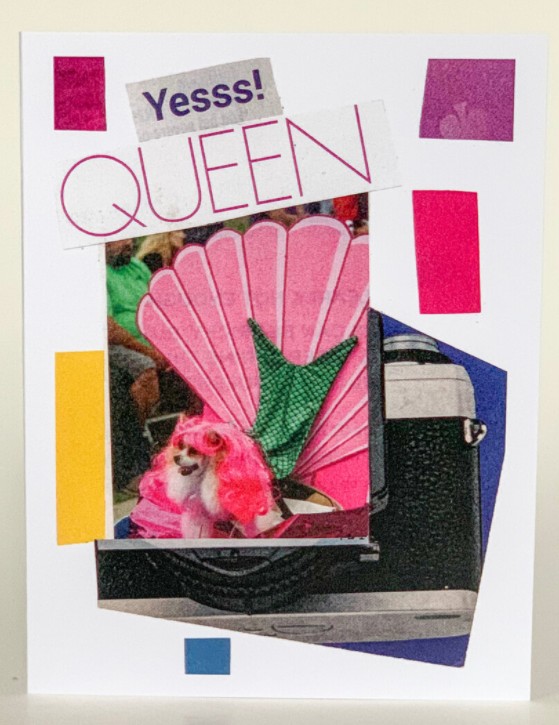 Anytime Greeting Card (Pack of 6) - Yesss Queen
