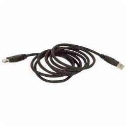 6' USB Ext. Cable A A