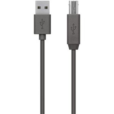 6' USB Cable A B Device
