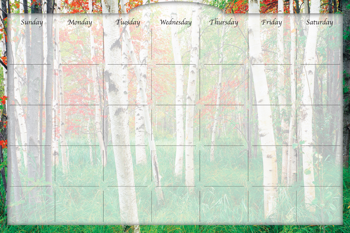 Biggies - Dry Erase Stickie Monthly Calendar-Aspen Grove