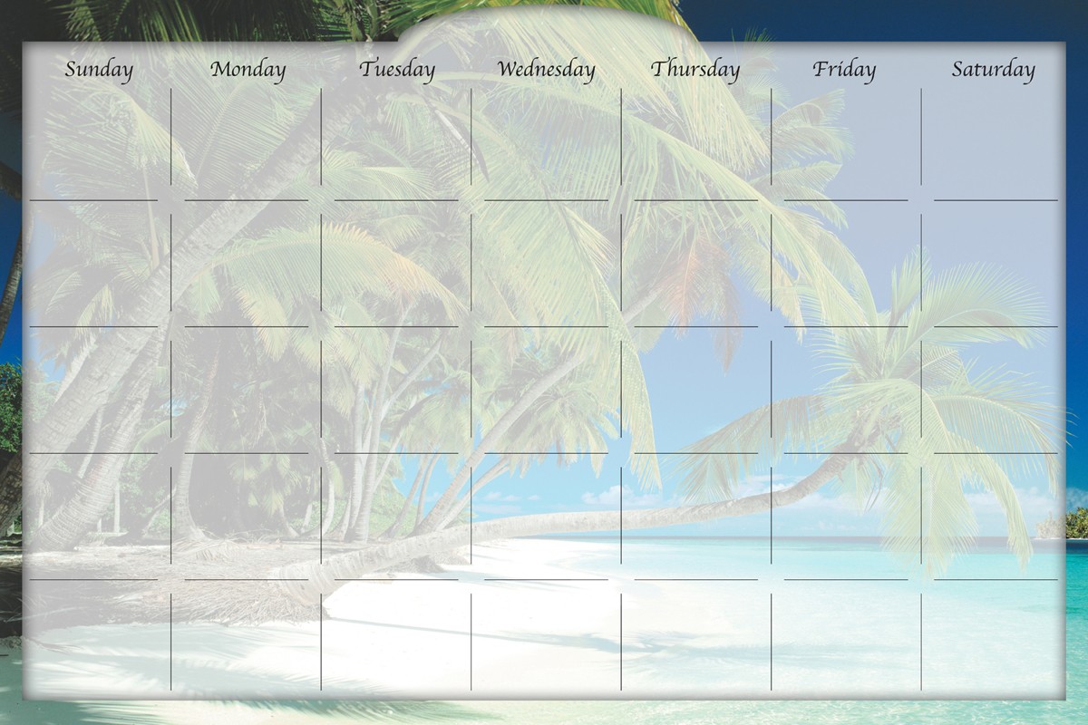 Biggies - Dry Erase Stickie Monthly Calendar-Beach Island