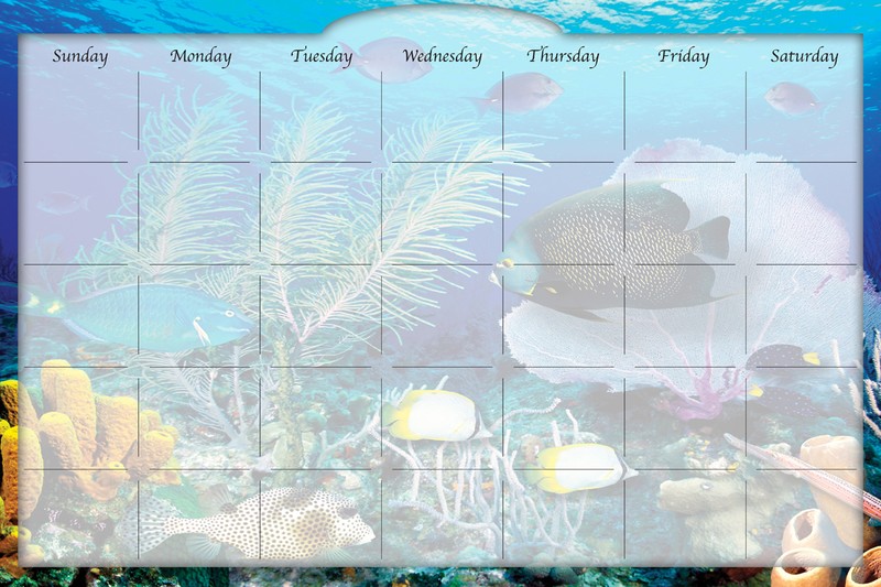 Biggies - Dry Erase Stickie Monthly Calendar-Coral Garden
