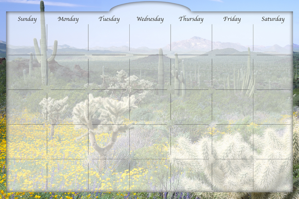 Biggies - Dry Erase Stickie Monthly Calendar-Desert Cactus