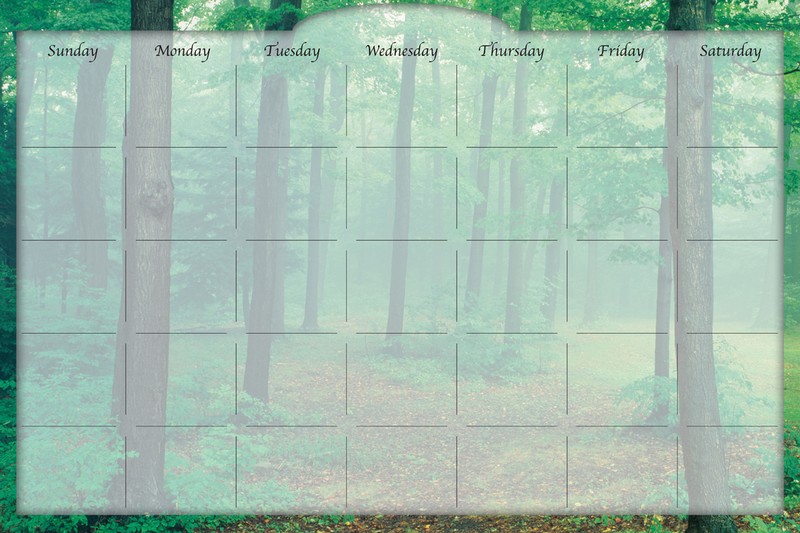 Biggies - Dry Erase Stickie Monthly Calendar-Forest Mist