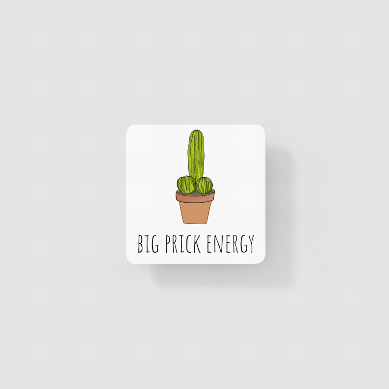 Big Prick Energy Cactus Coaster