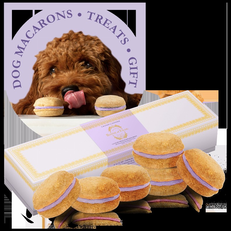 Dog Macarons - Box of 6  - Lavender