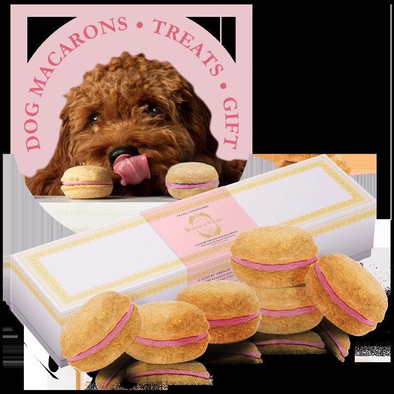 Dog Macarons - Box of 6  - Strawberry