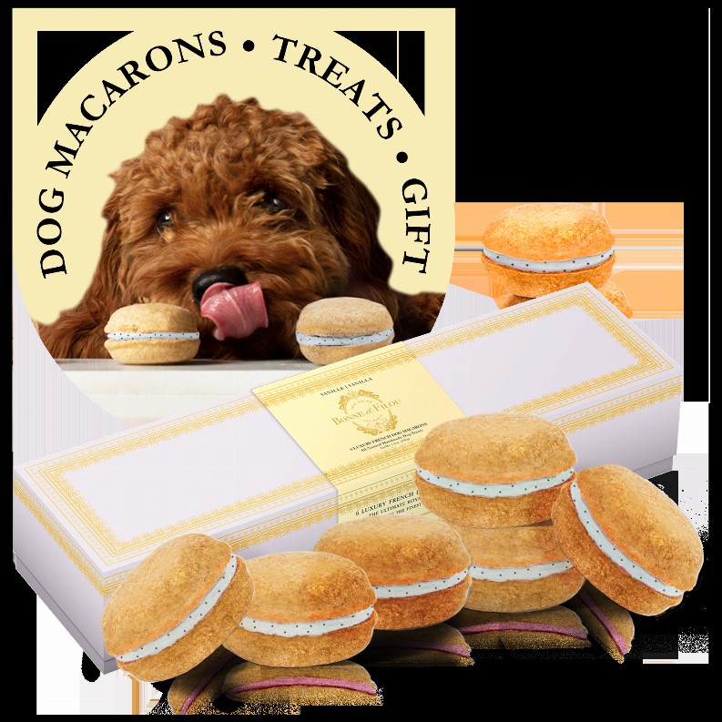 Dog Macarons - Box of 6  - Vanilla