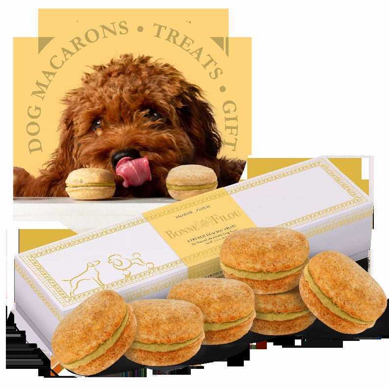 Dog Macarons - Box of 6  - Cheese