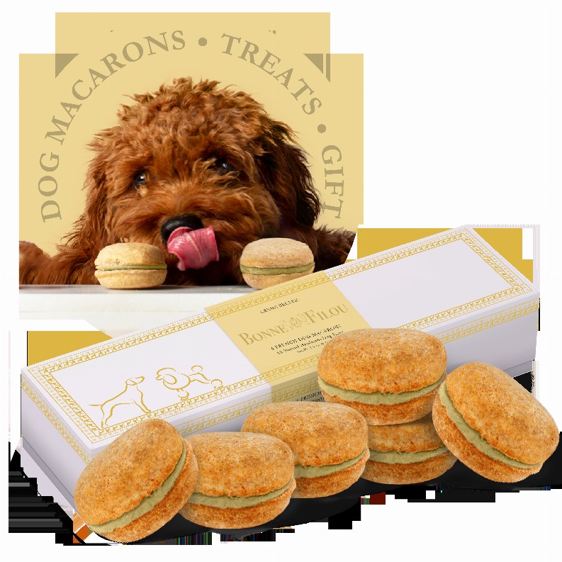 Dog Macarons - Box of 6  - Creme Brulee