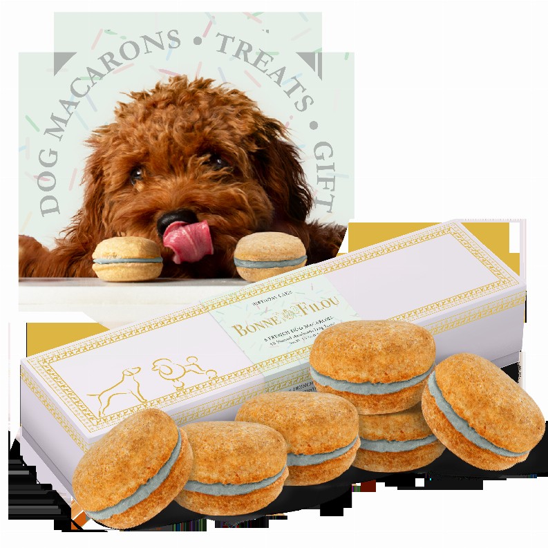 Dog Macarons - Box of 6  - Birthday Cake