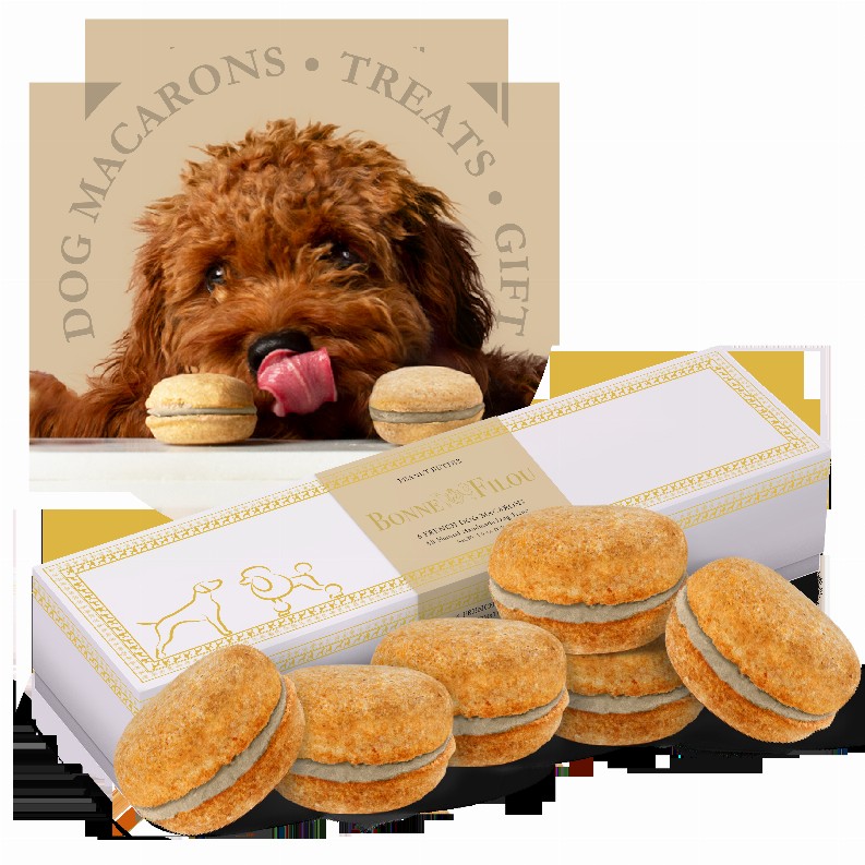 Dog Macarons - Box of 6  - Peanut Butter