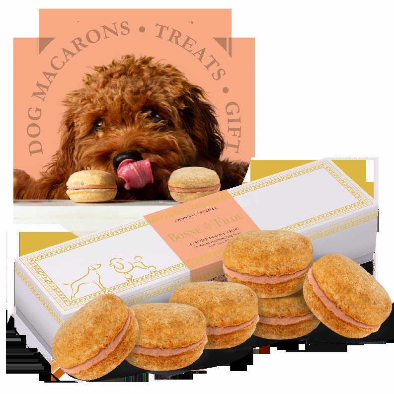 Dog Macarons - Box of 6  - Pumpkin