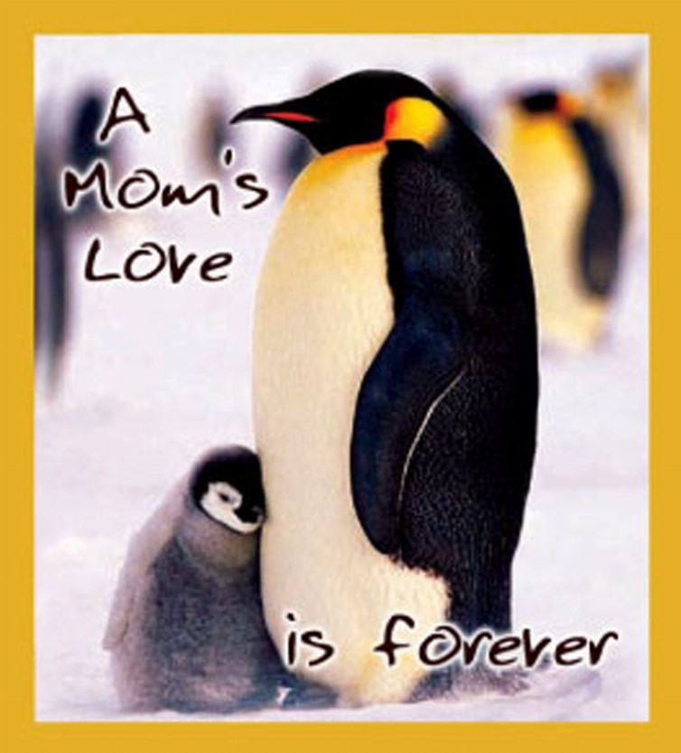 A Mom's Love Is Forever - Magnetic Bookmark