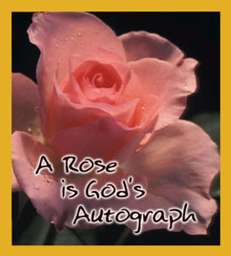 A Rose Is God's Autograph - Magnetic Bookmark