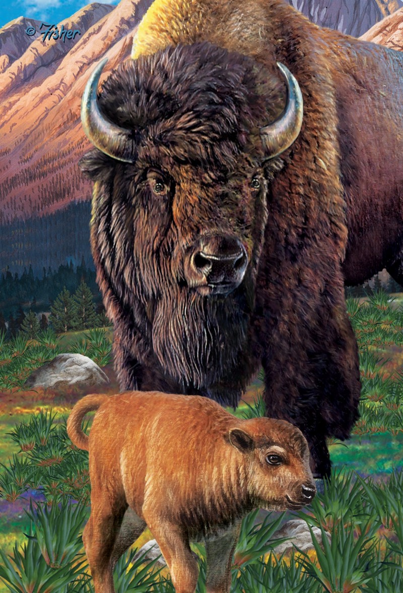 Animal - 3D Postcard - Buffalo