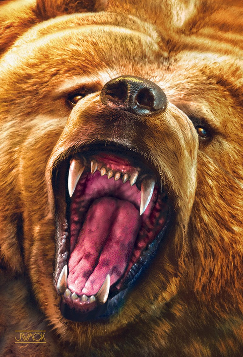 Animal - 3D Postcard - Grizzly Growl