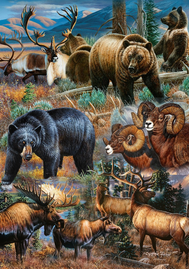 Animal - 3D Postcard - Northern Wildlife