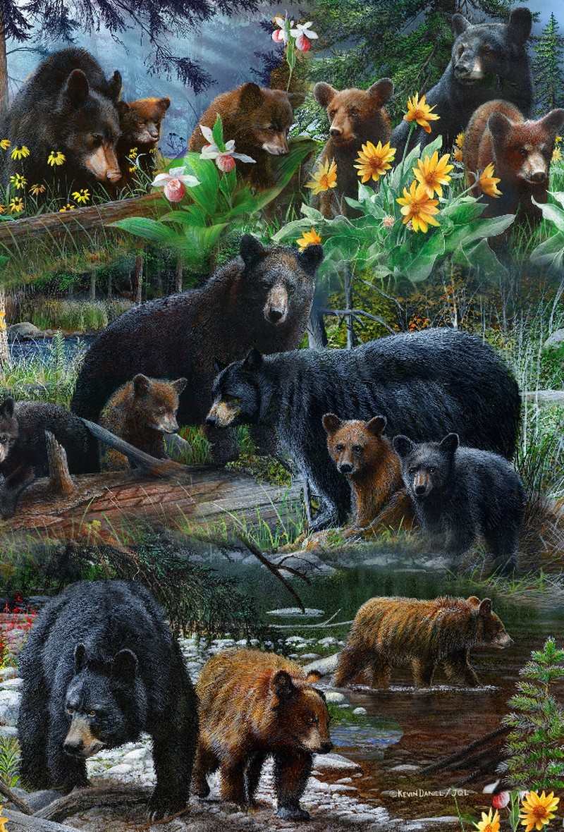 Animal - 3D Postcard - And Bears, Oh My