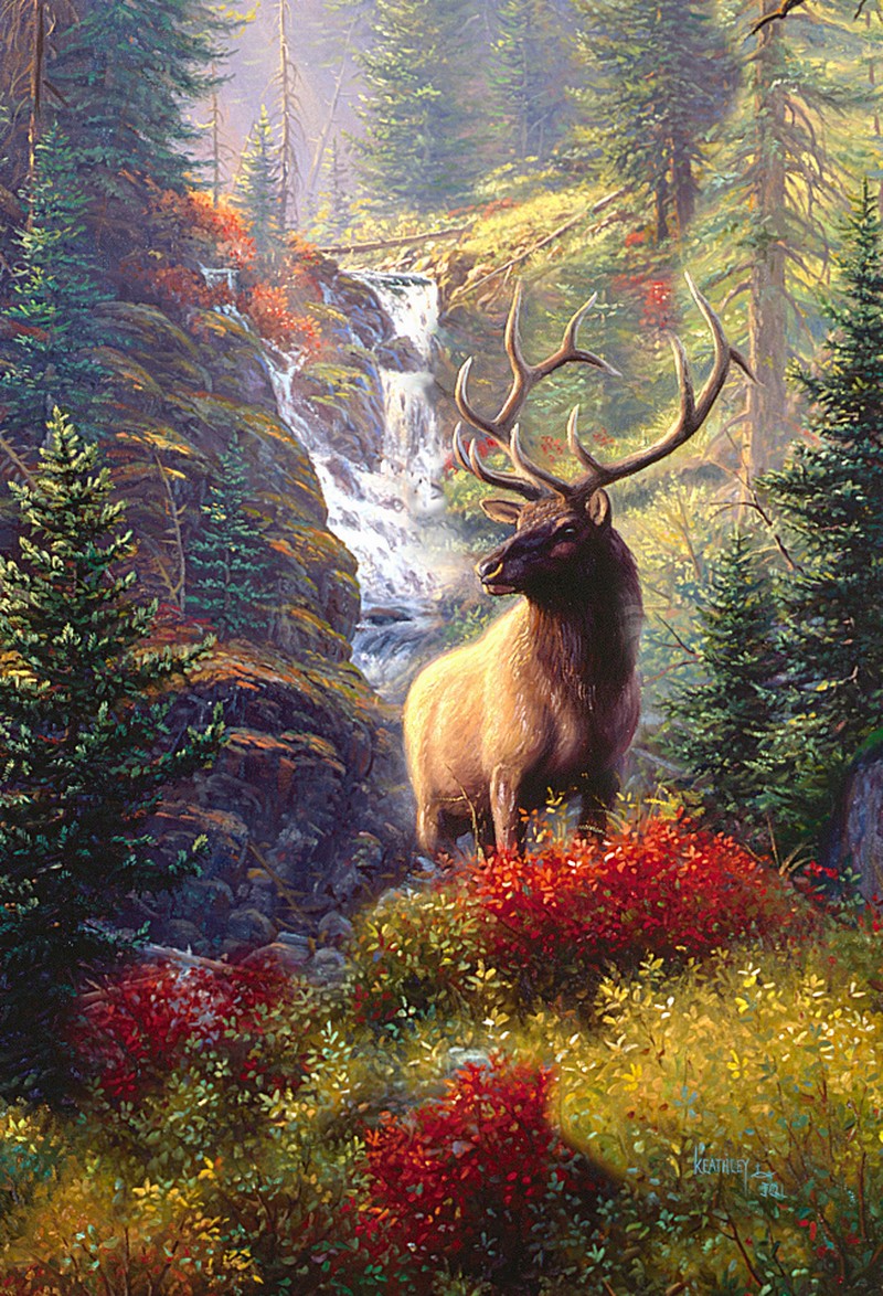 Animal - 3D Postcard - Bull Elk