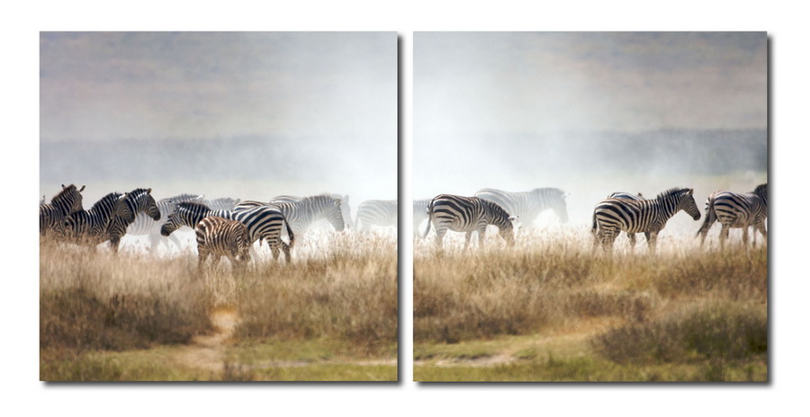 Baxton Studio A Zeal of Zebras Mounted Photography Print Diptych