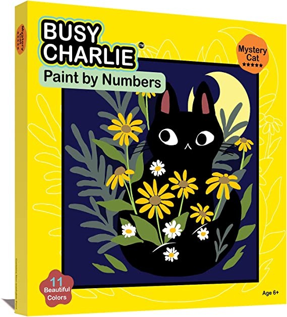 Paint by Numbers Kit for Kids Assortment
