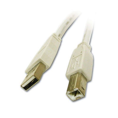 10' USB A B Cable White