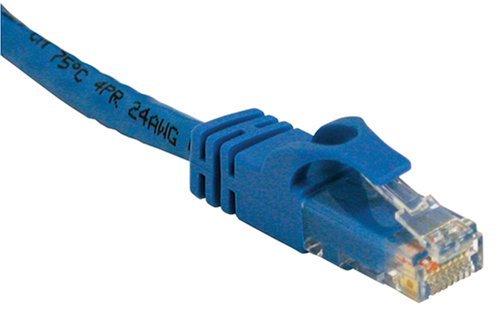 10' Cat6 Snagless Cable Blue