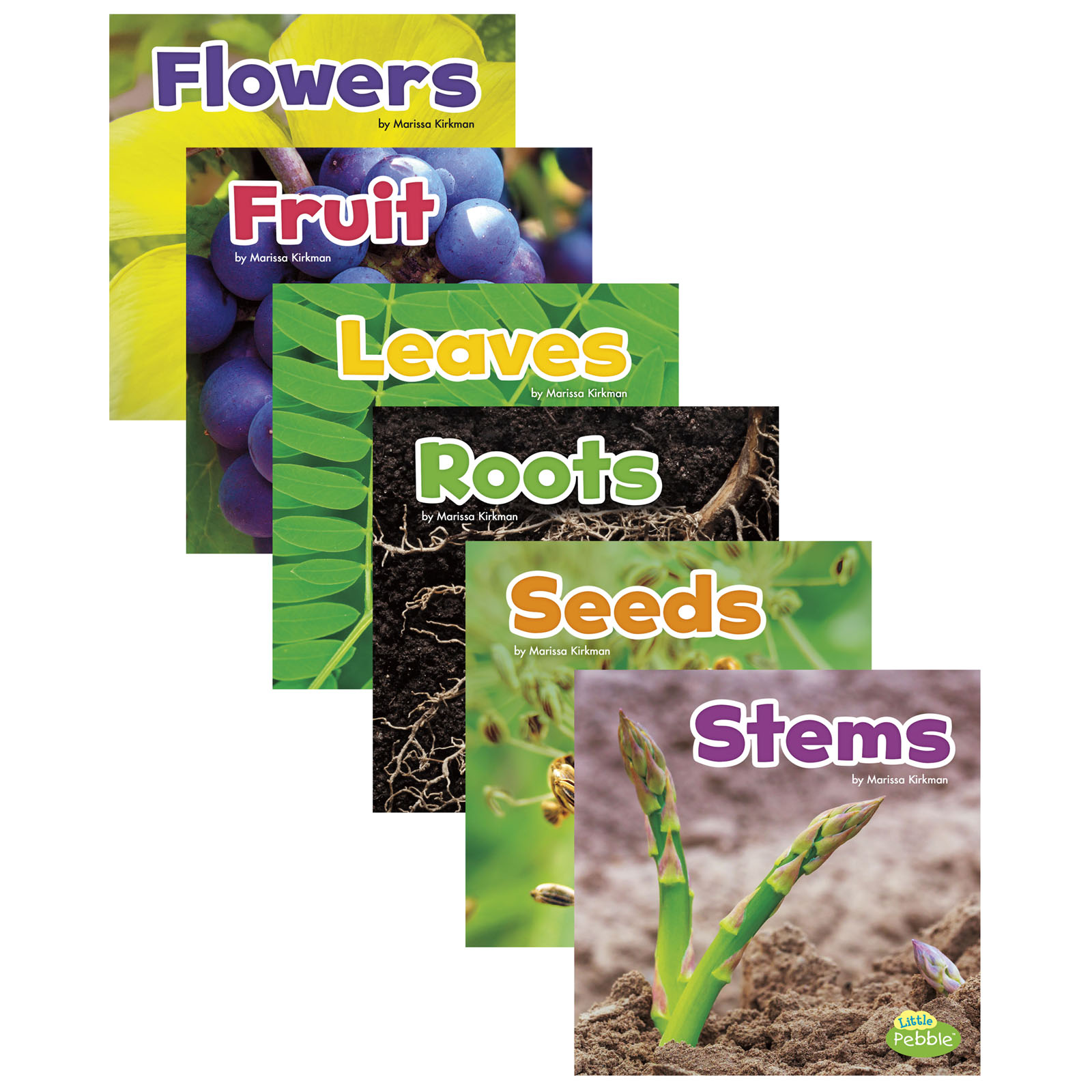 Plant Parts, Set of 6 books