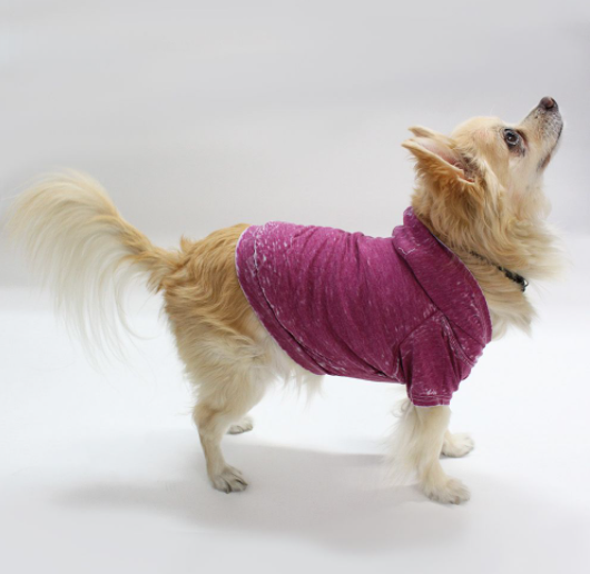 Doggy Hoodie - Small Magenta