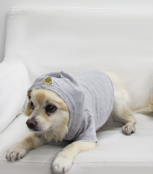 Doggy Hoodie French Terry - XS Asphalt