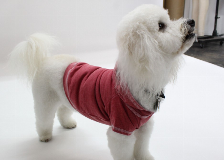 Doggy Hoodie French Terry - XS Brick