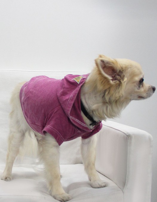 Doggy Hoodie French Terry - XL Magenta