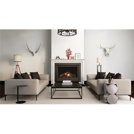 36" Natural Gas Direct vent fireplace