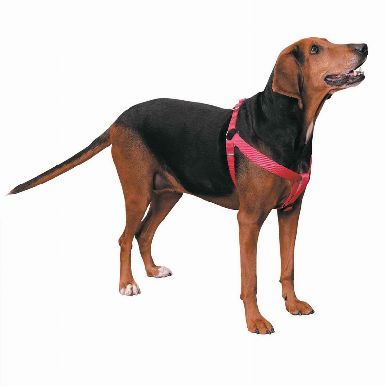 CC Nylon 2 Step Harness 9-15in Pink