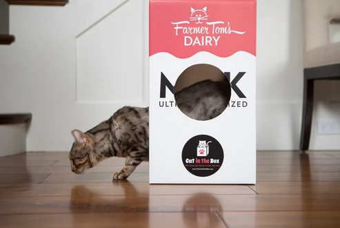 Mega Milk Carton Cardboard Cat House