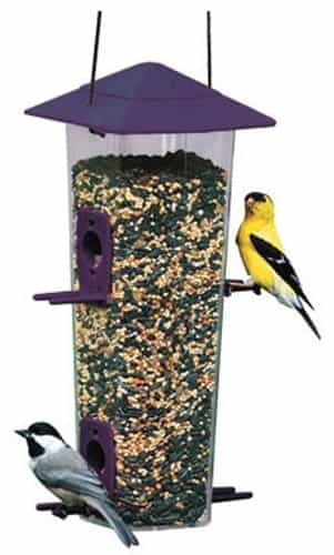 National Audubon Songbird / Thistle Feeder - 2.5 lb Seed Capacity