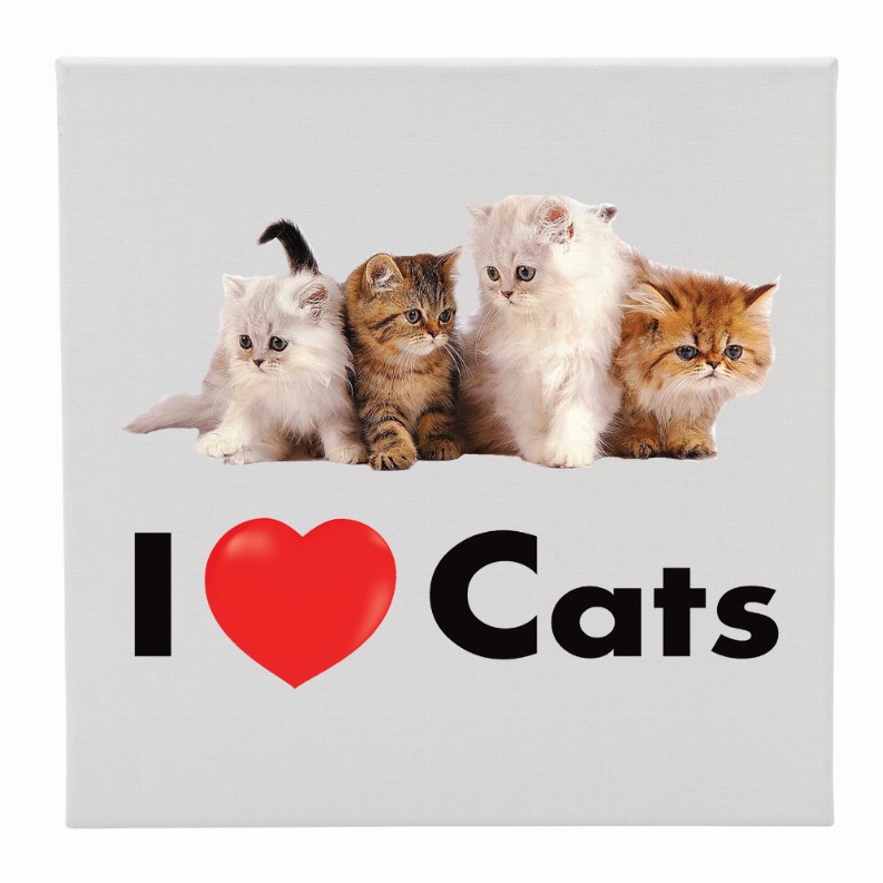 Canvas 12X12 I Love (Heart) Cats