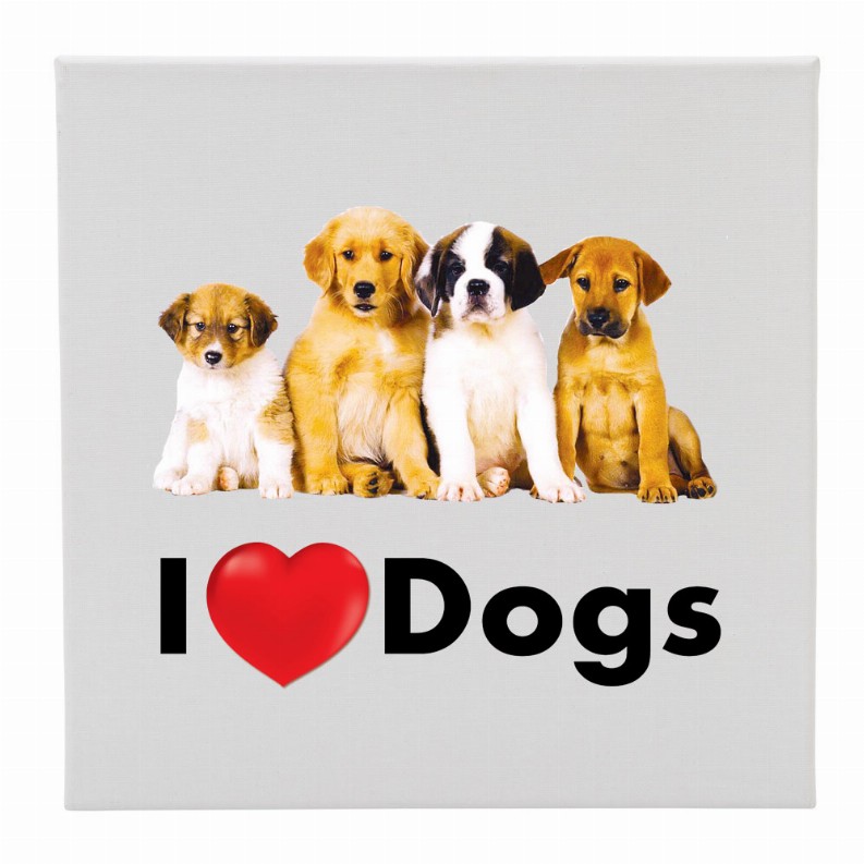 Canvas 12X12 I Love (Heart) Dogs