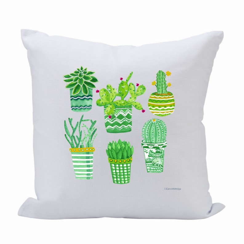 Pillow 16X16 Succulents