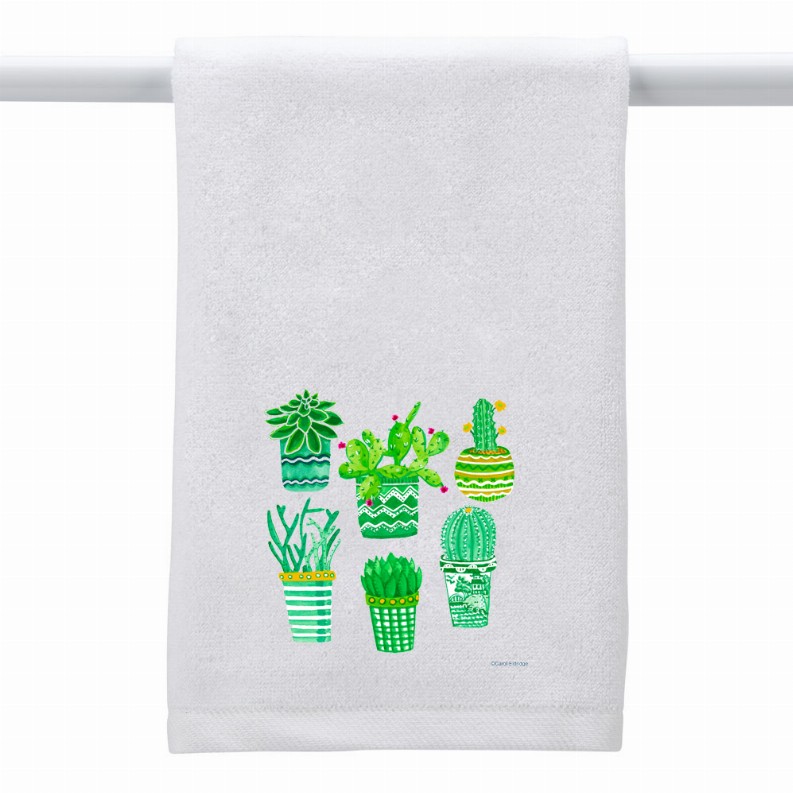 White Towel Succulents