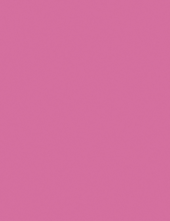 Multi-Purpose Paper, Hot Pink, 8-1/2" x 11", 500 Sheets