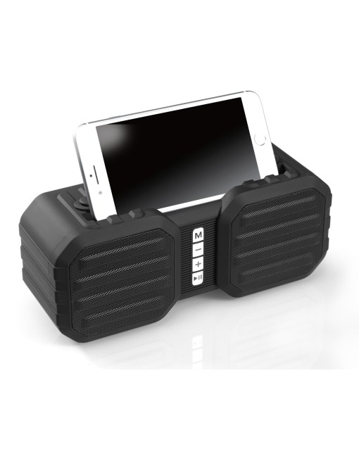 Dolphin Audio SPB-8XBLK Portable Splashproof Bluetooth
