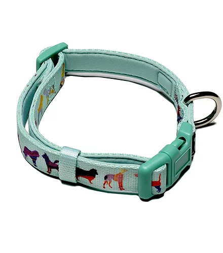 Dog Collar - Medium- adjustable Seafoam