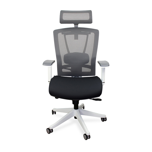 Premium Ergonomic Office Chair: Executive Swivel, 2-Way Lumbar Support, Thick Seat Cushion, Adjustable Seat Slide or Slope, 3-Wa