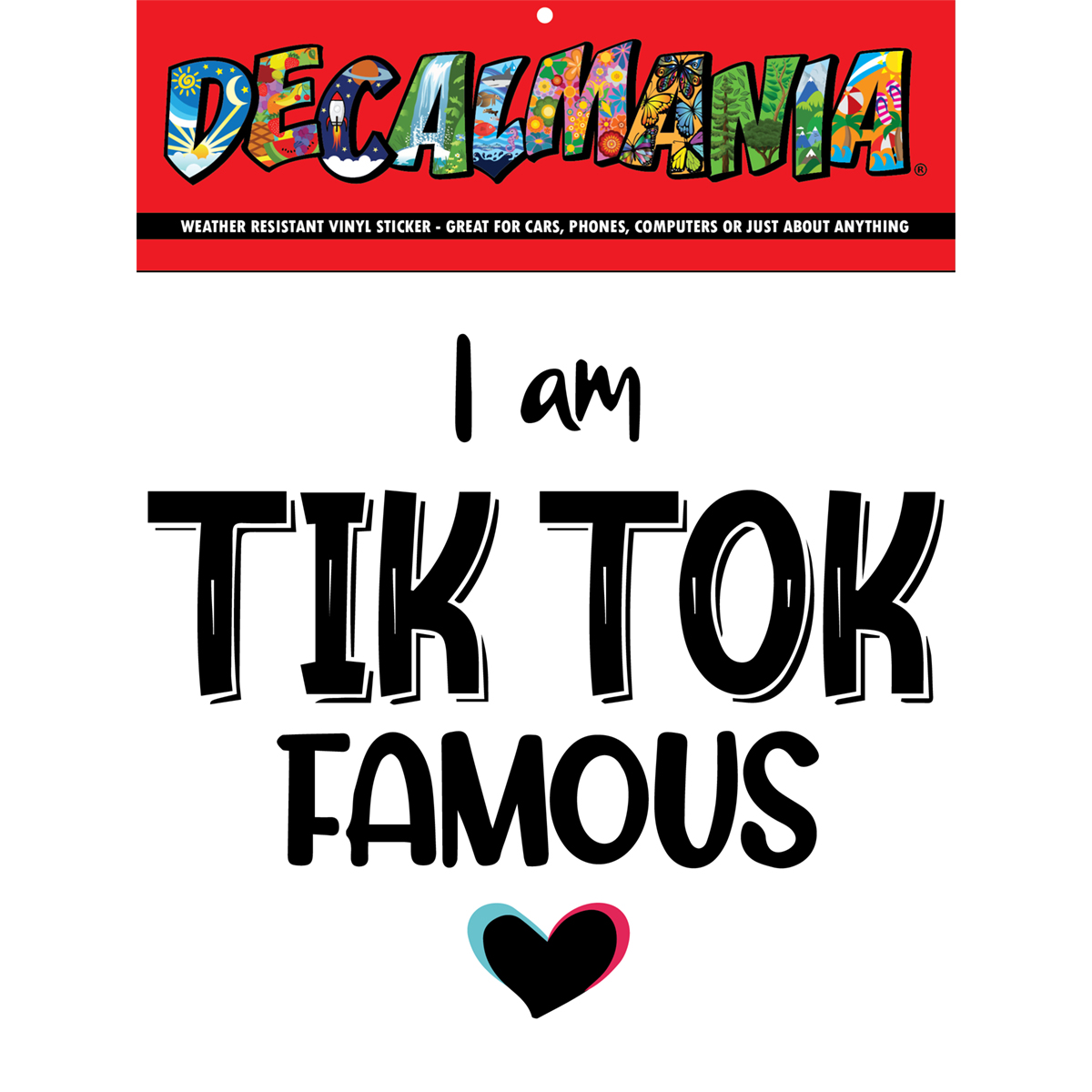 DecalMania - Tik Tok Famous 1PK 6in