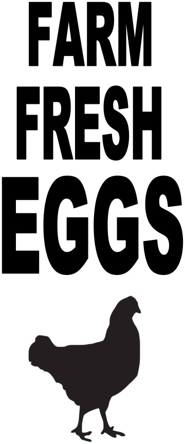 Farm Fresh Eggs (With Chicken)